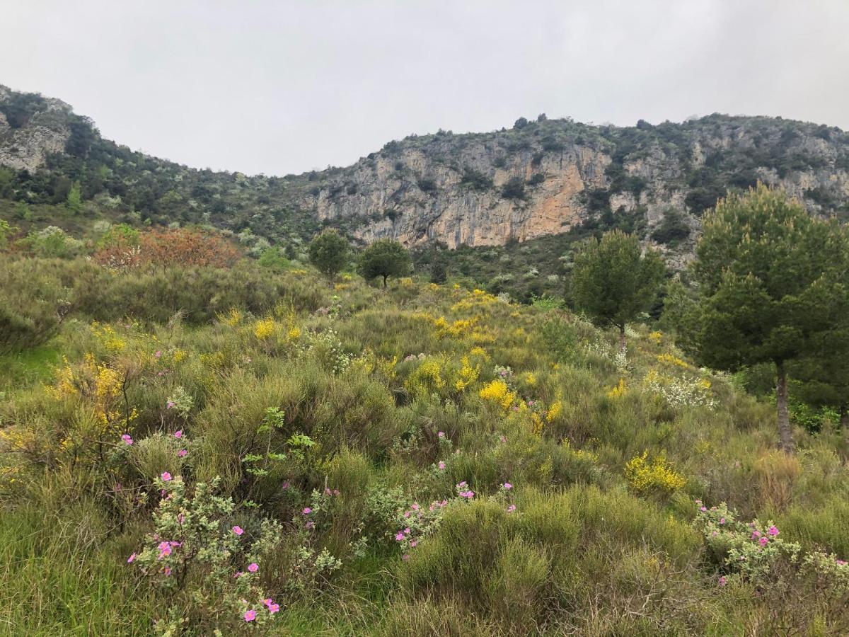 Aux Balcons du Riou avec vue mer 180 degrés Vence Extérieur photo