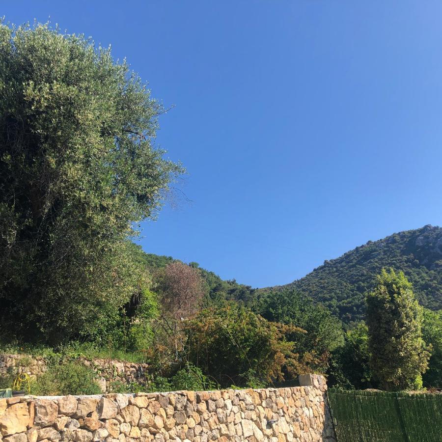 Aux Balcons du Riou avec vue mer 180 degrés Vence Extérieur photo