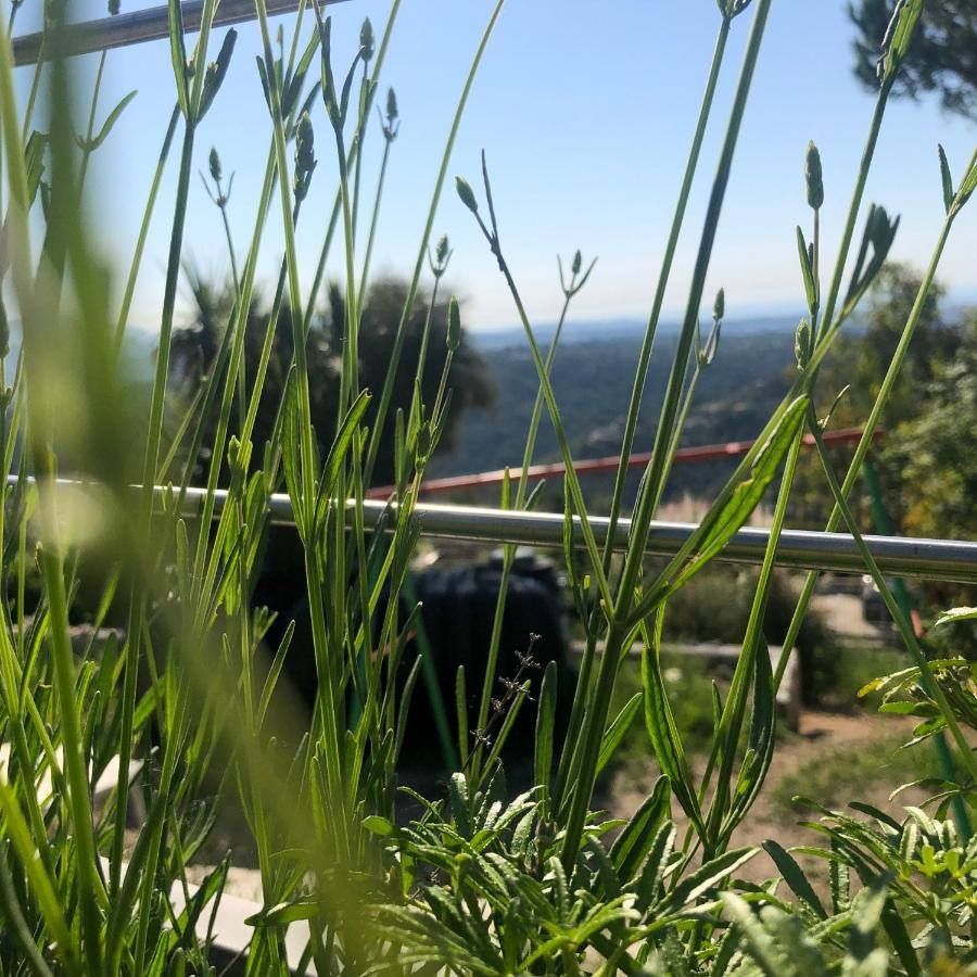 Aux Balcons du Riou avec vue mer 180 degrés Vence Extérieur photo
